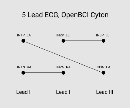 5_Leads