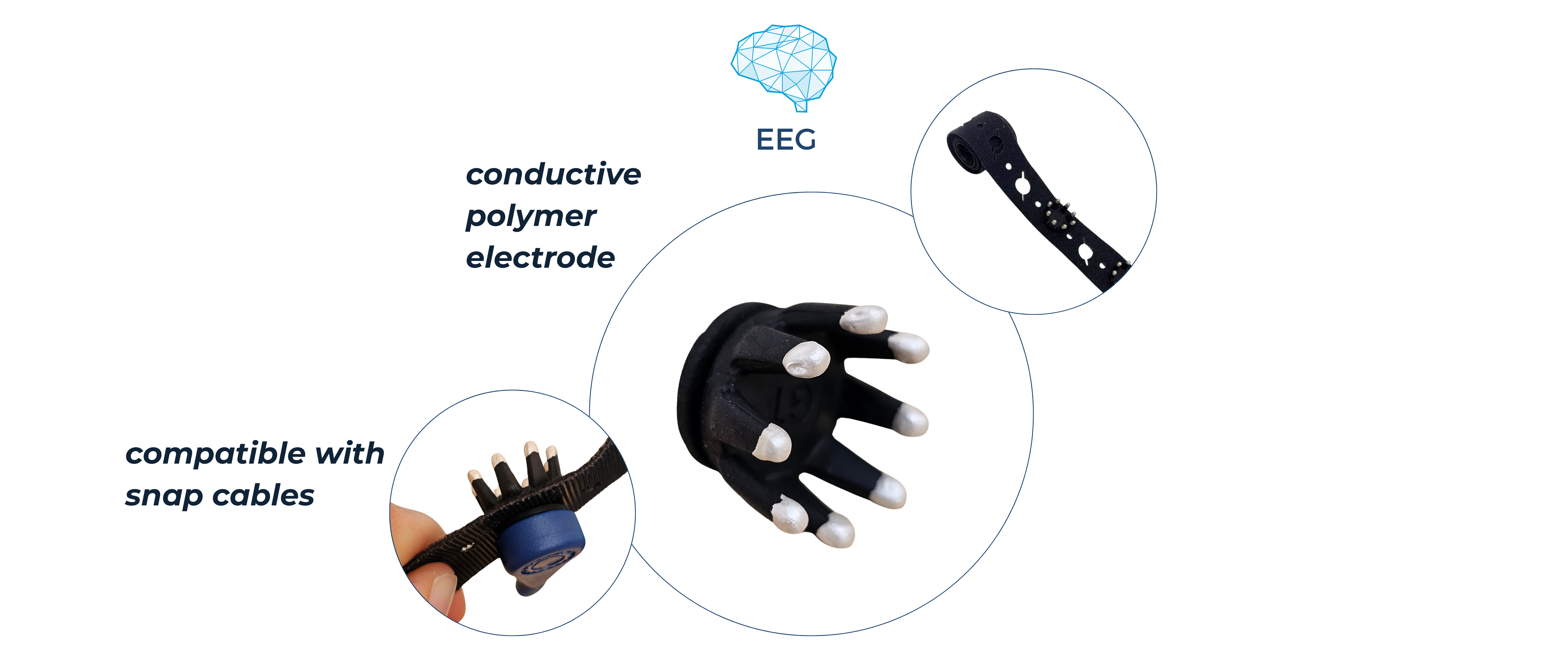 EEG Polymer Electrodes