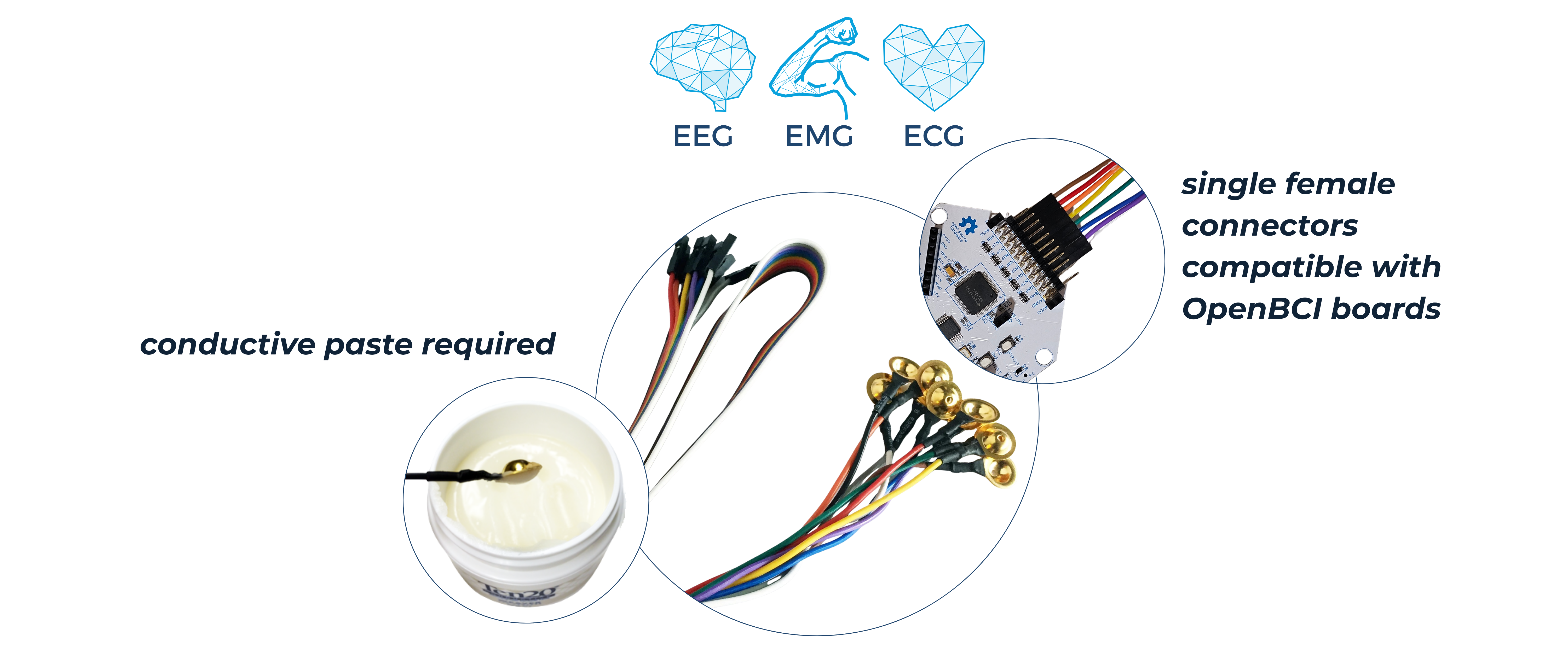 Gold Cup Electrodes